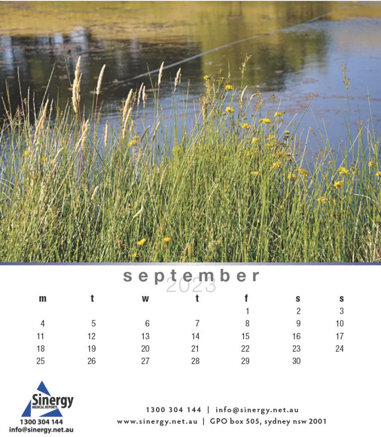 Sinergy-Calendar-20231024_11