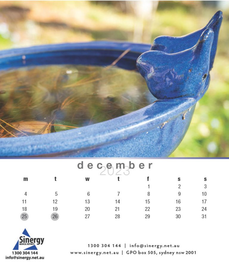 Sinergy-Calendar-20231024_14