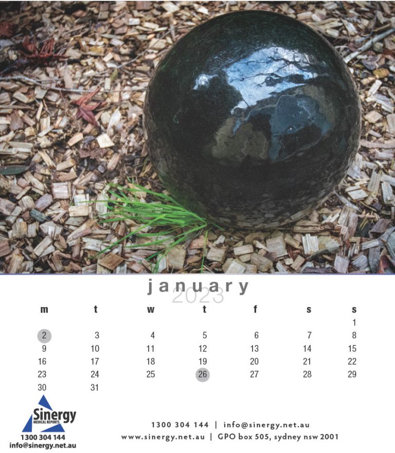 Sinergy-Calendar-20231024_3