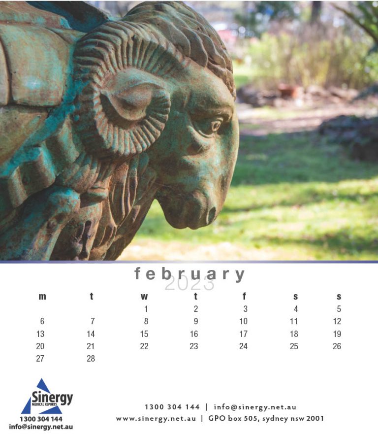 Sinergy-Calendar-20231024_4
