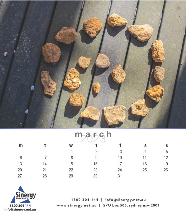 Sinergy-Calendar-20231024_5