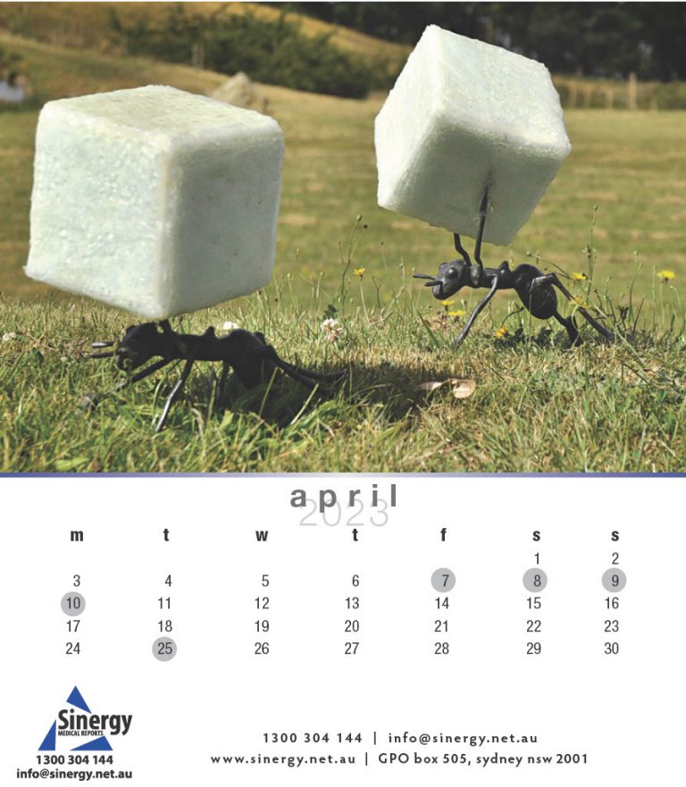 Sinergy-Calendar-20231024_6