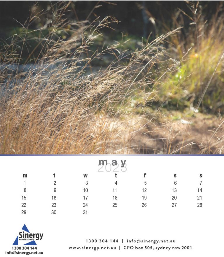 Sinergy-Calendar-20231024_7