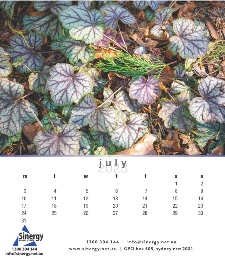 Sinergy-Calendar-20231024_9